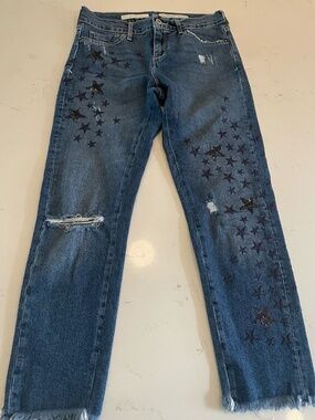 Pilcro and the Letterpress Slim Boyfriend Embellished Star Jeans in  Size 26